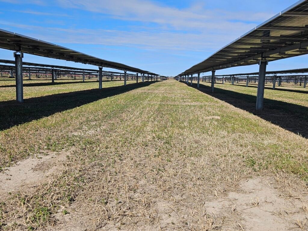 Our Services 20250113 135153 (1)