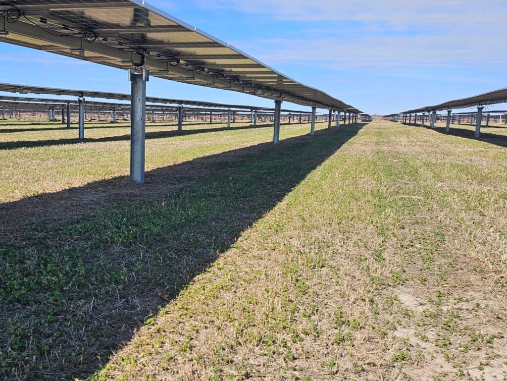 Our Services 20250113 135217 (1)