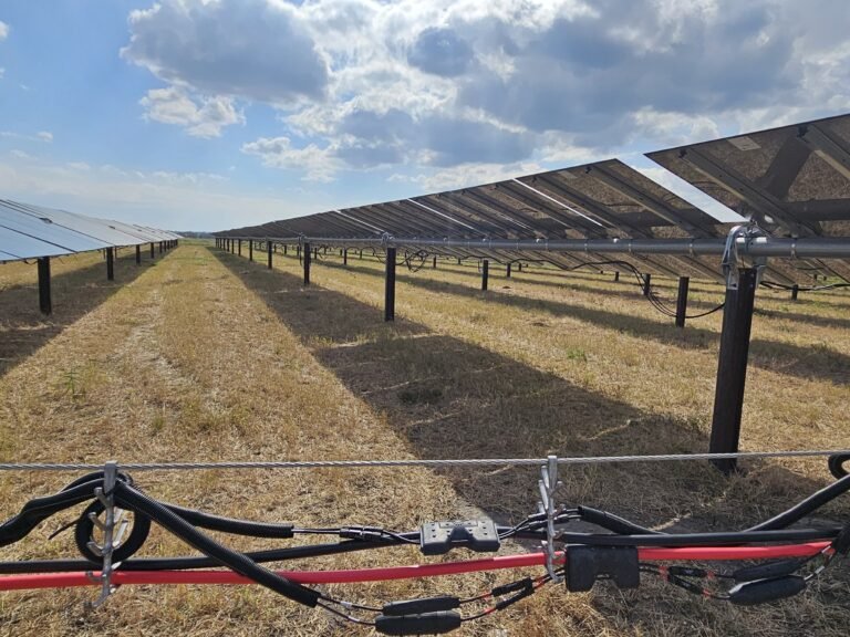 Our Services 20251028 142254