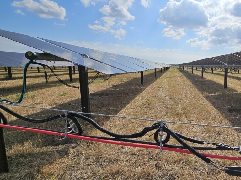 Our Services 20251028 142258