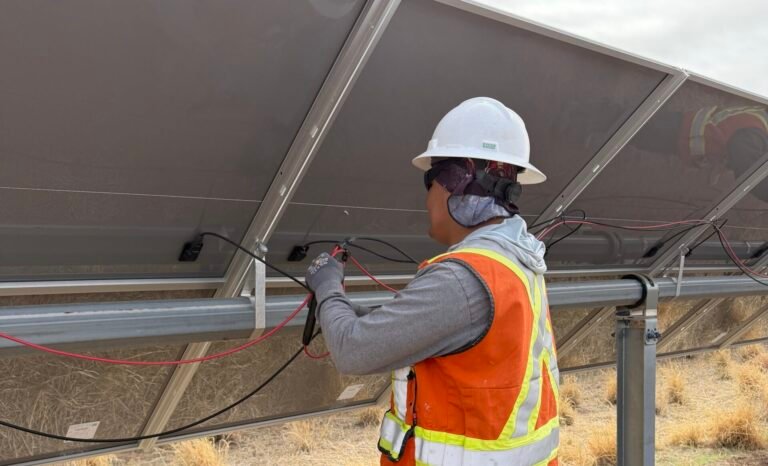 Our Services img 7605