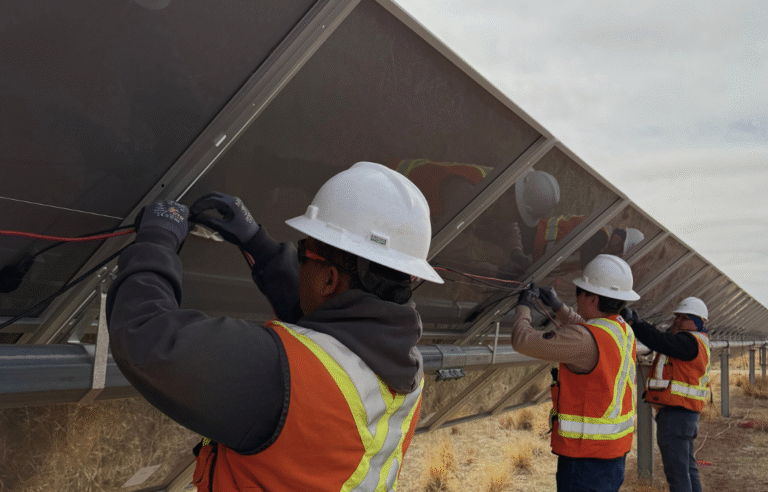 Our Services untitled design (16)